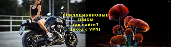 СК Краснослободск
