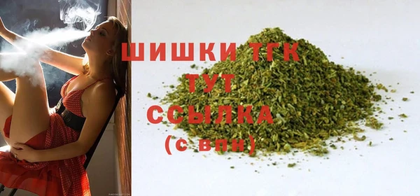 СК Краснослободск