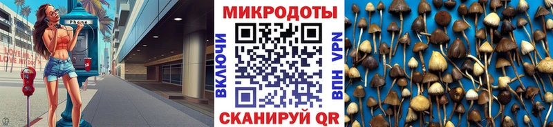 Галлюциногенные грибы Psilocybine cubensis  купить  цена  KRAKEN   Щёлково 